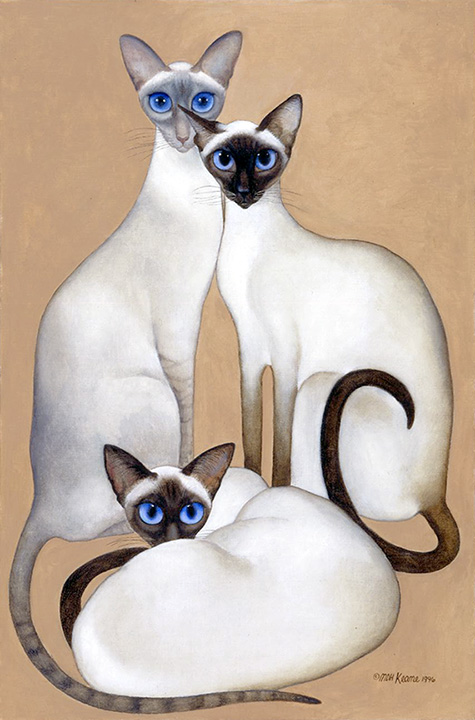 3 Siamese