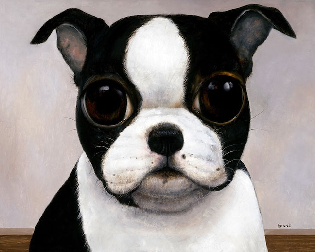 BOSTON-Terrier