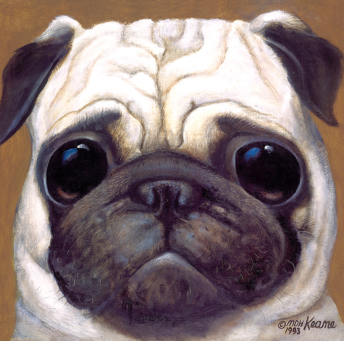 Pug