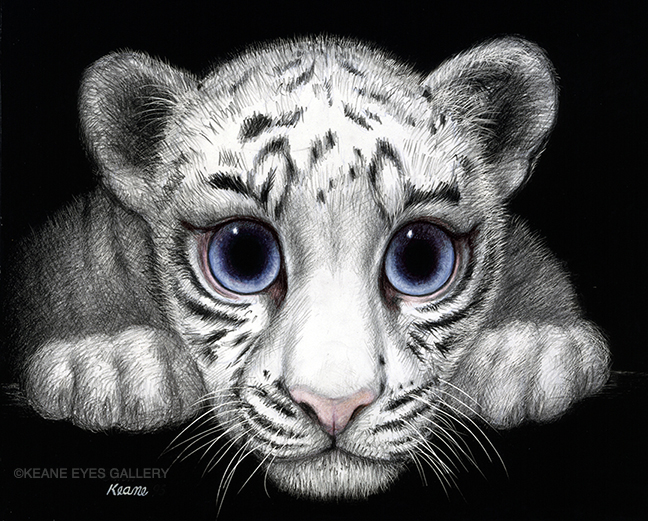 WHITE-TIGER-copy