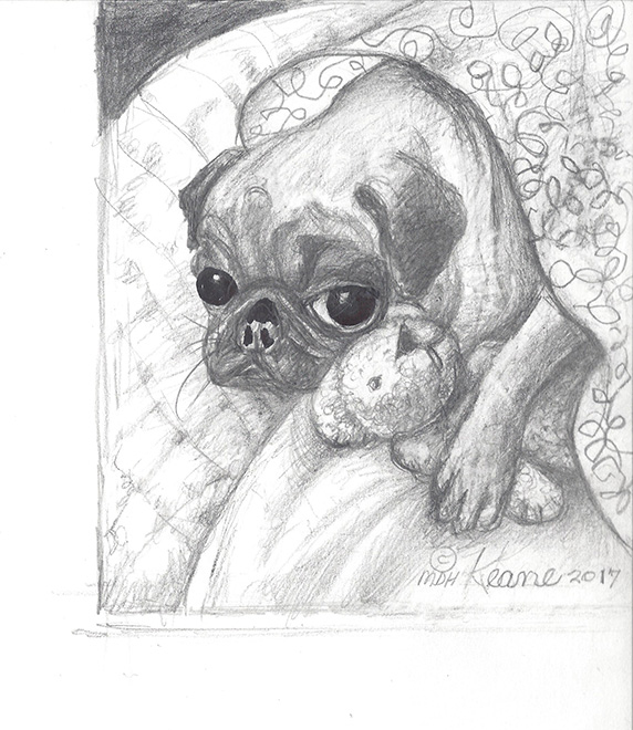 snug as a pug keane gallery snug as a pug keane gallery