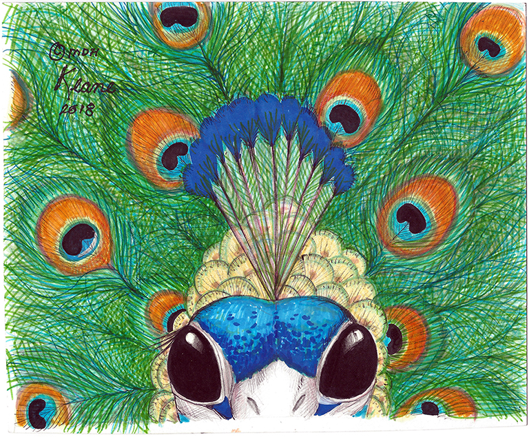 peacock