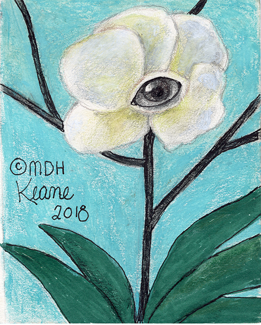 eye in white flower