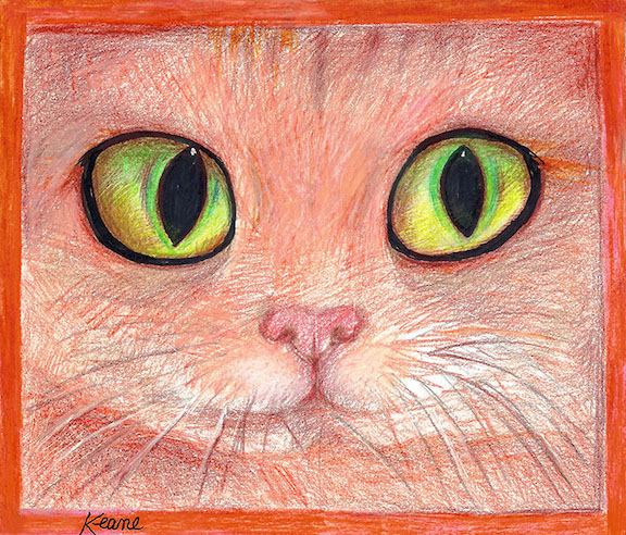 orange-cat