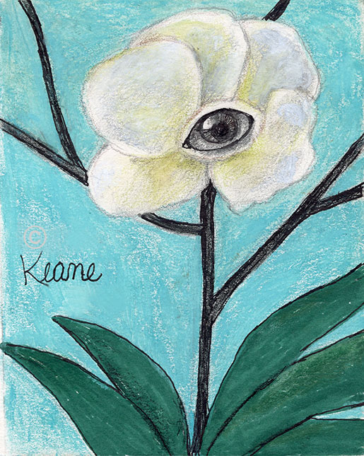 eye-in-white-flower