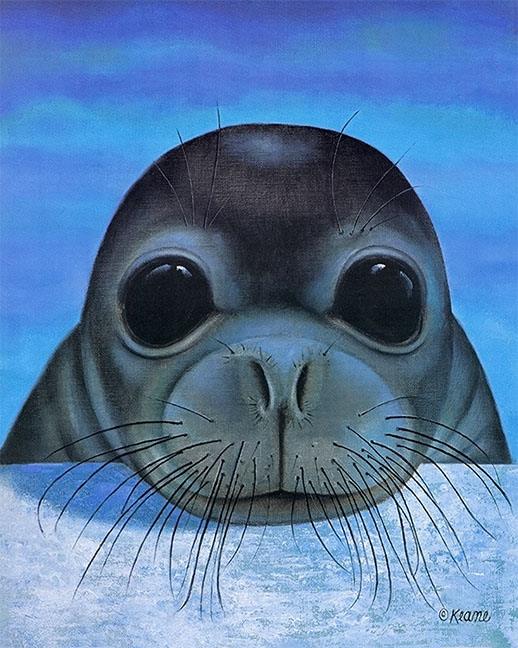 monk seal