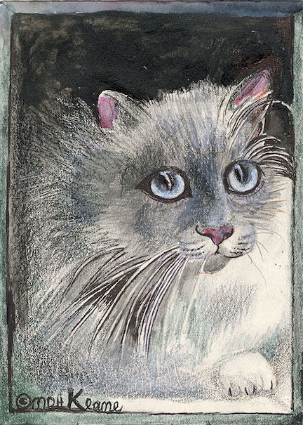 gray cat