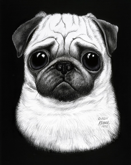 BLACKWHITEPUG-copy