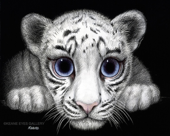 WHITE-TIGER-copy-1