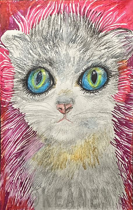 bubblegum fluff 2020