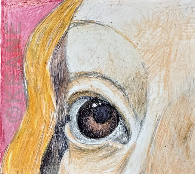 BLONDE EYE