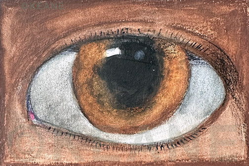 penny brown amber eye